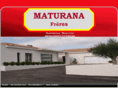 maturana-freres.com