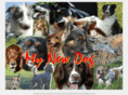 my-new-dog.co.uk
