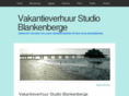 studioblankenberge.com