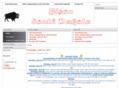 bisonsd.com