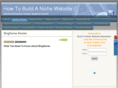 buildanichewebsite.info