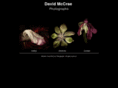 davidmccrae.com