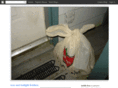 insidefree.org