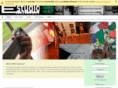 studiocultural.com