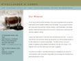 lawyerduibayarea.com