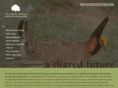 lesserprairiechicken.com