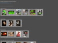 mikescostumes.com