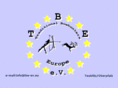 tbe-ev.com