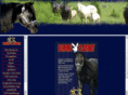 threeqranch.com