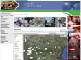 bgclimbing.com