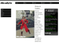 micabyte.com