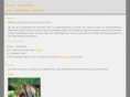 sanook-tropicalfish.nl
