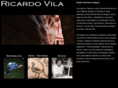 vilaeditorial.com