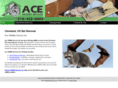acewildlifeservice.com