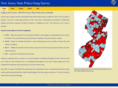 njgangsurvey.com