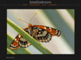 solardarkroom.com