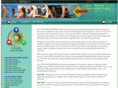 solution-hrm.com