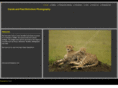 cpn-photography.com