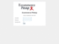 ecommercepitstop.com