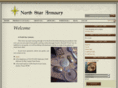 northstararmoury.com