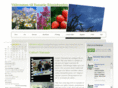 ramsele.com