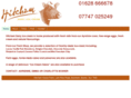 hitchamdairyicecream.com