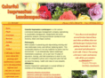 colorfulimpression.com