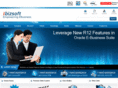 ibizsoftinc.com
