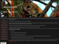 lionandbearhunts.com