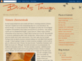 brianstaiwan.com