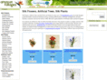 fastflowerarrangements.com