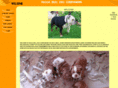 huggabulldogcompanions.com