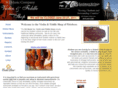 sgmcviolins.com