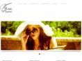 ambahparkah.com