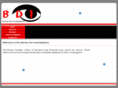 bdiuk.com