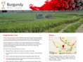burgundywinetours.com
