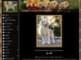 forumgoldenretrievers.com