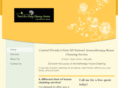 freshasadaisycleaning.com