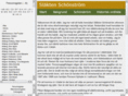 schonstrom.com