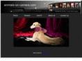 animals-on-camera.com