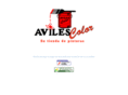 avilescolor.com