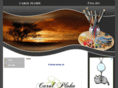 carolplohn.com