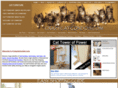 crazycatcondos.com