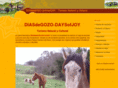 diasdegozo-daysofjoy.com