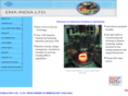 emainduction.com