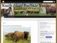 knifechiefbuffalonation.org