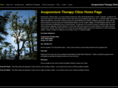 acupuncturetherapyclinic.com