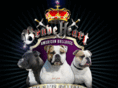 braveheartamericanbulldogs.com