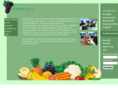 frucht-express.com