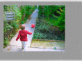 gregory-meyer.com